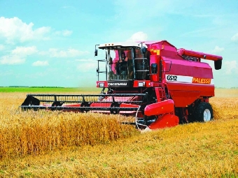 Дожди осложняют завершение уборки зерновых колосовых в Беларуси
