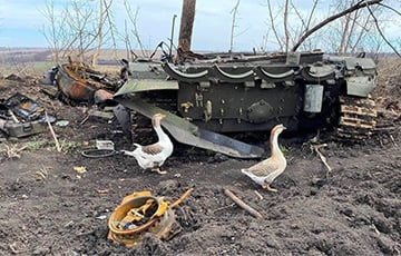 Украинские «боевые гуси» появились на фоне уничтоженной техники оккупантов
