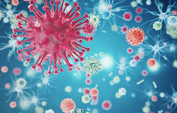 В образцах воды за март 2019 года испанские ученые нашли коронавирус