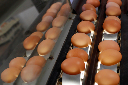 Отравленные яйца из Европы попали в 15 стран мира