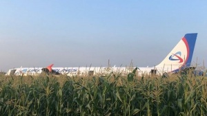 Аварийная посадка самолета в Подмосковье: пострадали 55 человек