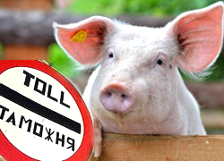 Машины со свининой из ЕС разворачивают на границе