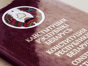 Статус ВНС, партийное строительство и пр. Глава КС о новой Конституции Беларуси