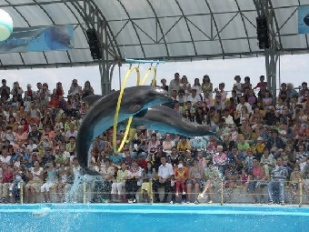 Нужны ли Минску три аквапарка и четыре дельфинария? (Фото)