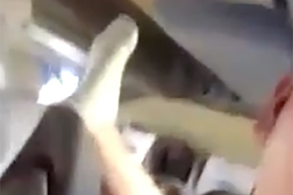 Соцсети разъярила пассажирка автобуса в дурно пахнущих носках