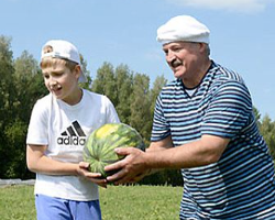 Арбузы и дыни будут выращивать в каждой области Беларуси