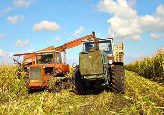 Ни один из регионов Беларуси не смог достичь прошлогодних показателей по сельхозпроизводству