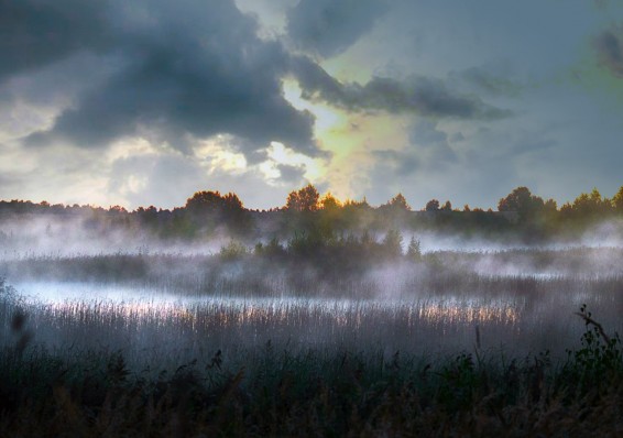 Оранжевый уровень опасности объявлен в Беларуси 22 октября из-за тумана