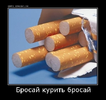 Финансовая милиция КГК перекрыла контрабандный канал вывоза белорусских сигарет за рубеж