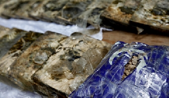 Около 16 т наркотиков изъято в ходе операции ОДКБ "Канал-2011"
