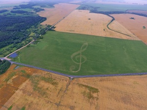 Зачем velcom | A1 изобразил в поле 300-метровый скрипичный ключ?