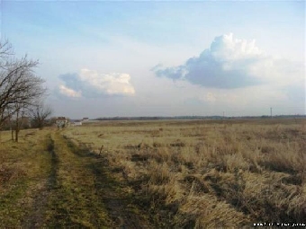 Целевое назначение земельных участков в Беларуси можно изменить