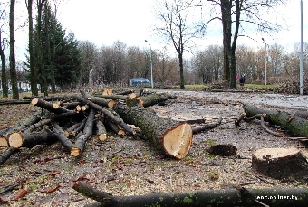 Минчанам удалось приостановить уничтожение парка 40-летия Октября
