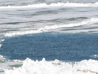 В Борисовском районе утонул мальчик, кормивший уток на тонком льду