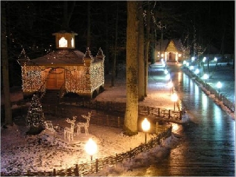Туристический поезд в поместье Деда Мороза в Беловежской пуще начнет курсировать 13 января