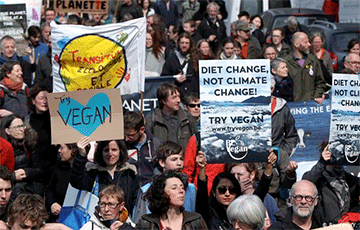 В Бельгии прошли массовые акции в защиту климата