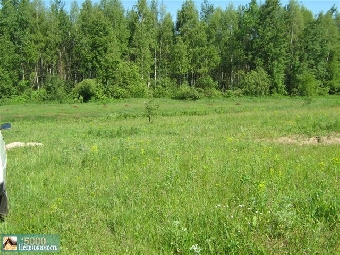 В Беларуси есть свободные земельные участки, которые граждане могут приобрести без аукционов