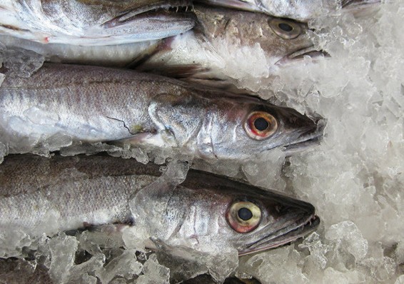 КГК раскрыл схему поставок морепродуктов в Россию