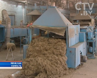 Беларусь и Омская область будут совместно перерабатывать лен