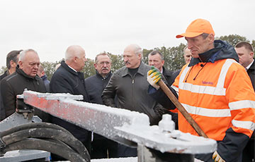 Лукашенко: Тут должны быть травы, а вы посеяли кукурузу