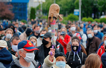 Reuters: По всей Беларуси прокатились протесты под лозунгом «Стоп таракан!»
