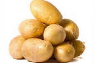 Украинскому картофелю закрыли путь в Беларусь