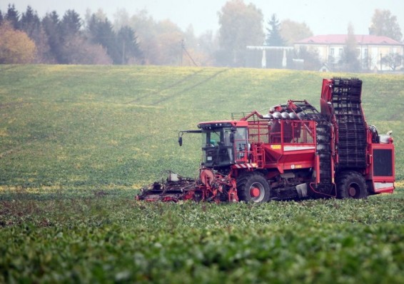 Лукашенко определился, как будут «оздоравливать» сельхозпредприятия
