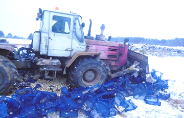 Под Брянском раздавили трактором 16 тонн грибов из Беларуси