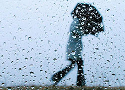 Циклон «Иветта» принесет в Беларусь дожди