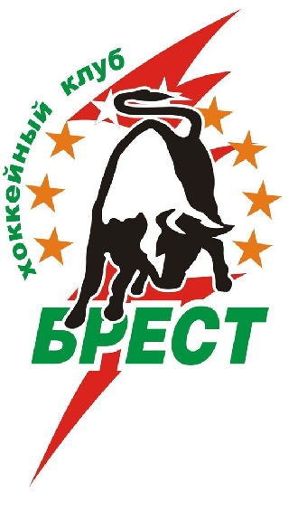 Вопрос о переносе чемпионата-2014 из Беларуси поднимают не понимающие в спорте люди - Ворсин