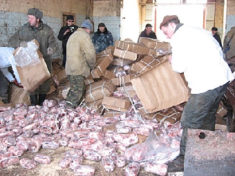 В Бресте с тонной контрабандного мяса задержан украинец