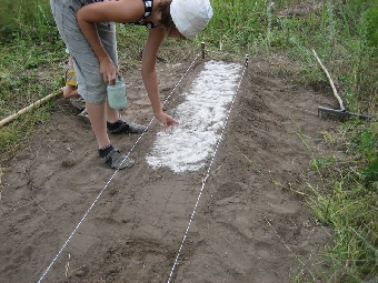 Ученые Беларуси разработали новые виды удобрений для повышения плодородия почвы