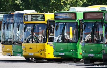 В Бобруйске отменили более 90 автобусных рейсов