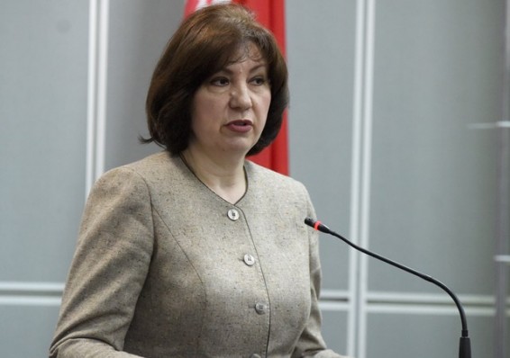 Кочанова извинилась перед цыганами в Могилеве по поручению Лукашенко