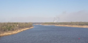 В Белгидромете рассказали, как пожары в Чернобыльской зоне повлияли на Беларусь