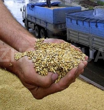 Казахстан хотел бы построить в Беларуси терминал для перевалки пшеницы