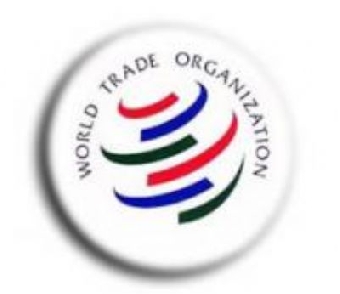 Страны Таможенного союза примут таможенные тарифы страны, первой вступившей в ВТО