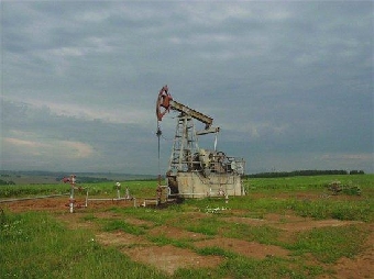 Белорусские ученые рассматривают Припятский прогиб как наиболее перспективный для поиска нефти