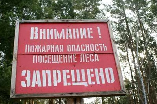 В Беларуси запрещено посещение лесов в более чем в 50 районах