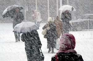 Сильный ветер и мокрый снег в Беларуси прогнозируют синоптики