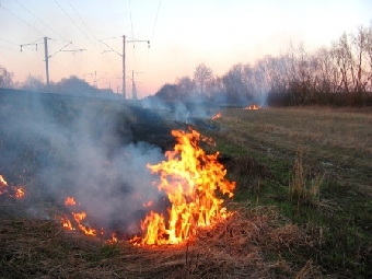 В Столбцовском районе при выжигании сухой травы за двое суток погибли 3 человека
