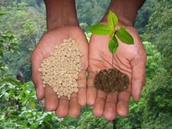 БКК увеличила цену на поставку калийных удобрений в Бразилию с $520 до $550 за тонну