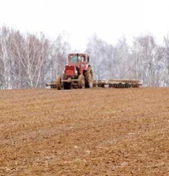 Сельхозорганизации Беларуси посеяли яровые на 51,6% запланированной площади