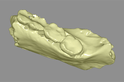 Кости нового вида человека открыли для 3D-печати всем желающим