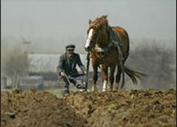 Лукашенко: Не вижу битвы за урожай