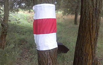 В Орше вывесили бело-красно-белые флаги в День белорусской воинской славы