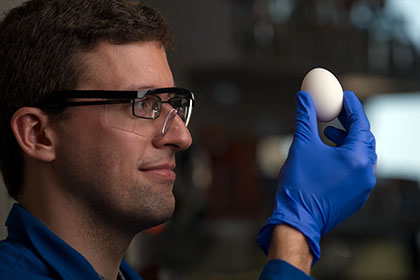 Ученые вернули сваренное яйцо в исходное состояние
