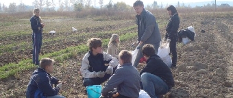 В Беларуси на закупку продукции растениеводства урожая 2012 года будет выдано Br2,8 трлн. кредитов