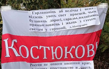 Гомельский партизаны вышли на пикет с ярким плакатом