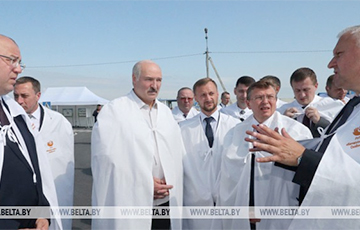 Лукашенко - чиновникам: За падеж скота сядете в тюрьму